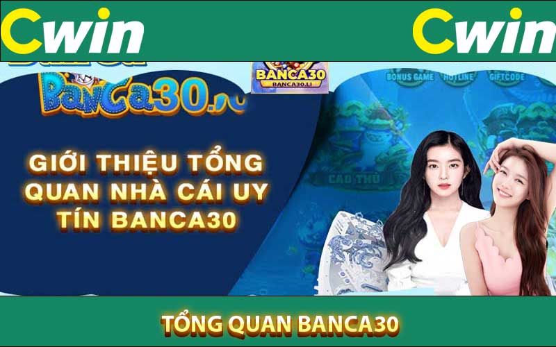 tổng quan banca30